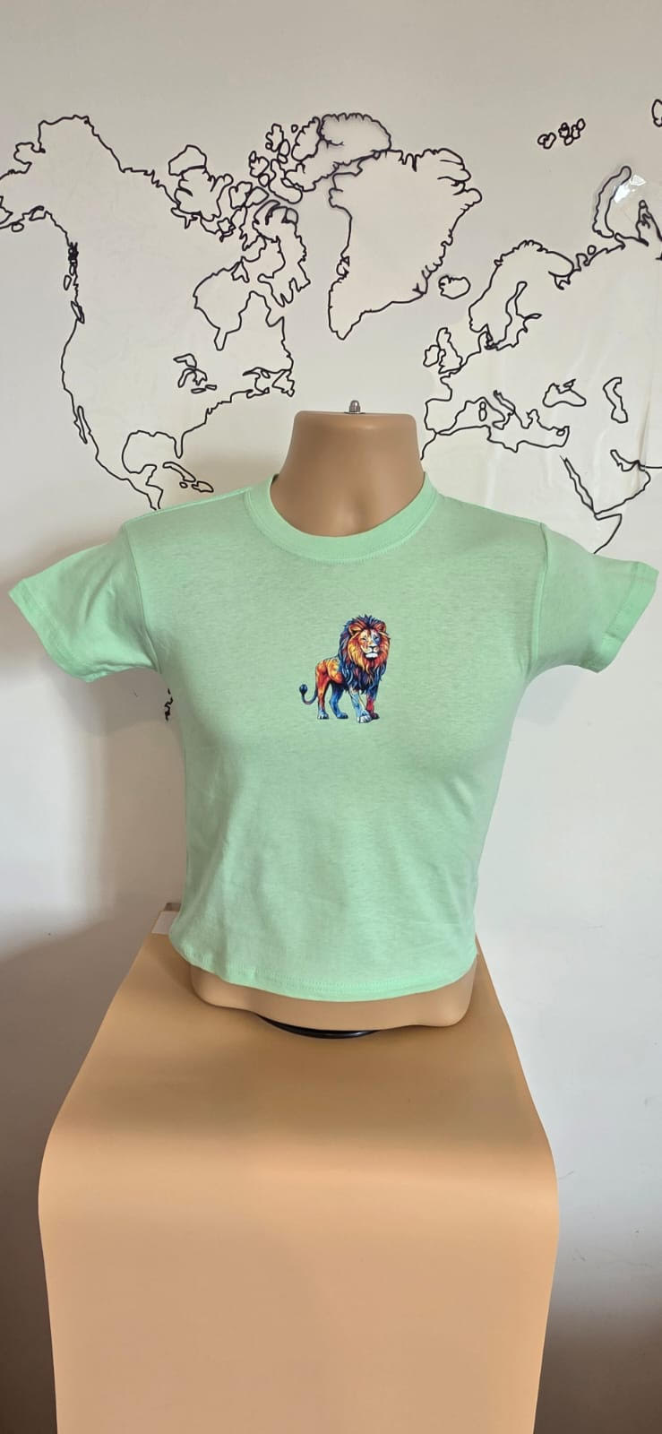 Printed t-shirt boys size 4-5 years